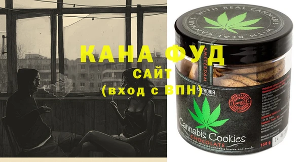 хмурый Алексин