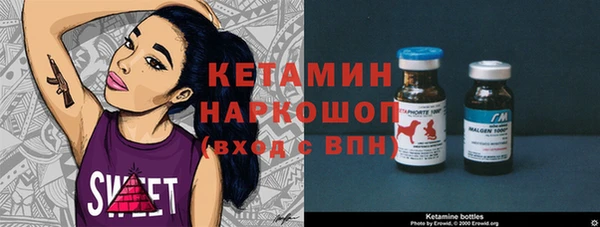 хмурый Алексин