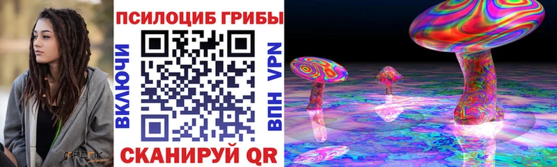 Псилоцибиновые грибы Cubensis Кызыл
