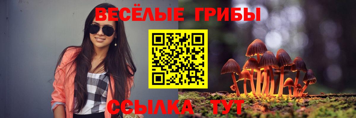 Псилоцибиновые грибы Psilocybe  Вход с VPN  Кызыл 