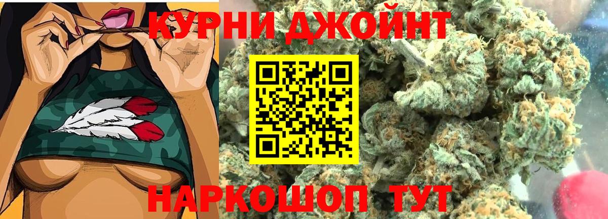 Бошки Шишки сатива Кызыл